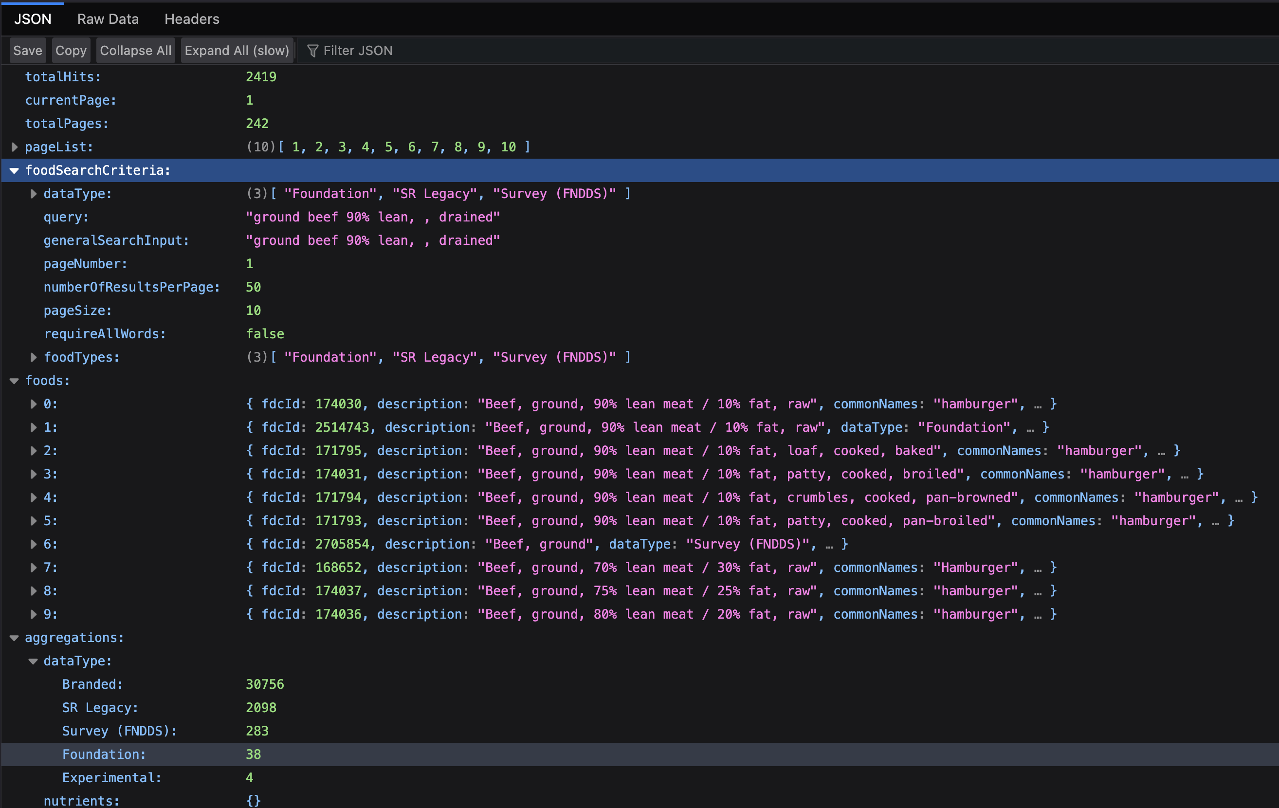 USDA FoodData Central API search results showing ten matching results in JSON format